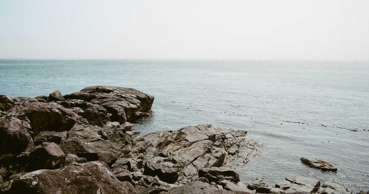 なぜ30歳独身SE・実家暮らしは行動できないのか？【悩み】を解消し【願望】に近づく思考法。
