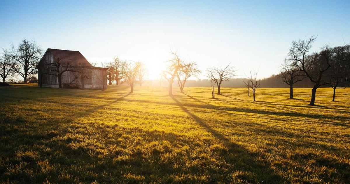 ふるさと納税は本当に損してる？簡単3ステップで賢く節約！副業SEとの相性も抜群