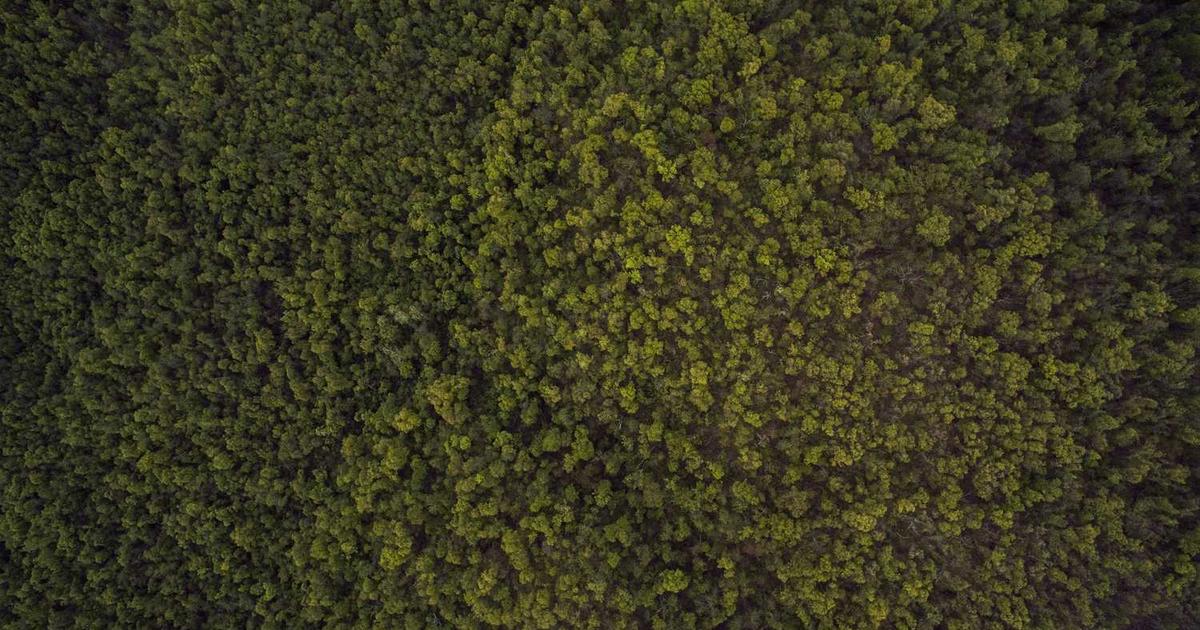転職エージェントを最大限に活用する方法:希望のIT求人を見つけるための戦略